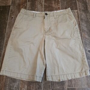 Mens American Eagle Longboard Shorts (33)
